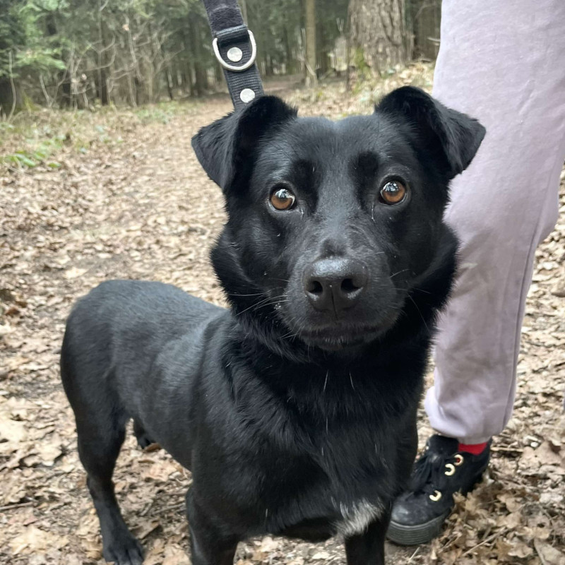 plik foto id: 1400002842