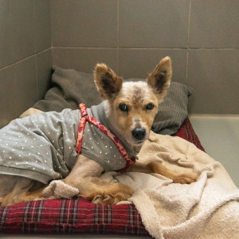 plik foto id: 1400002842