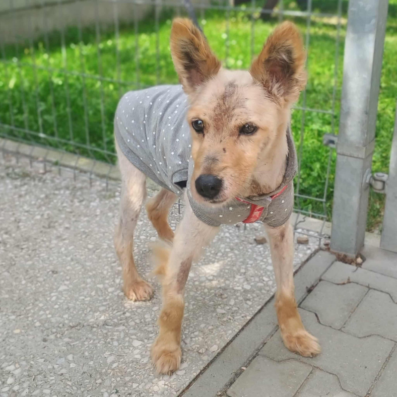 plik foto id: 1400002842