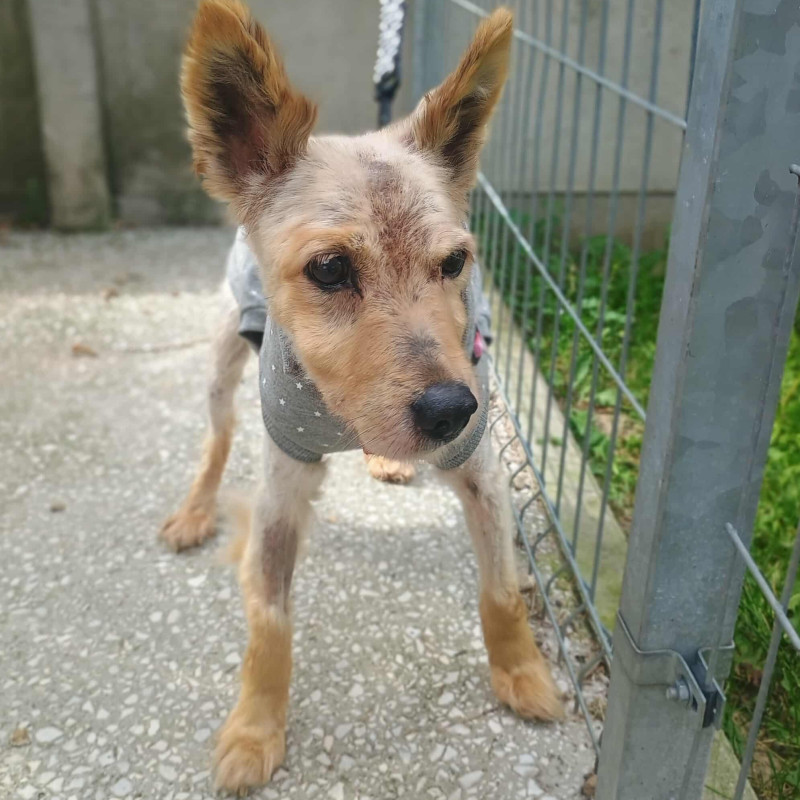 plik foto id: 1400002842