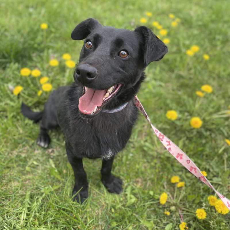 plik foto id: 1400002842