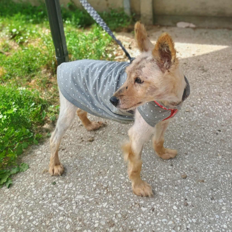 plik foto id: 1400002842