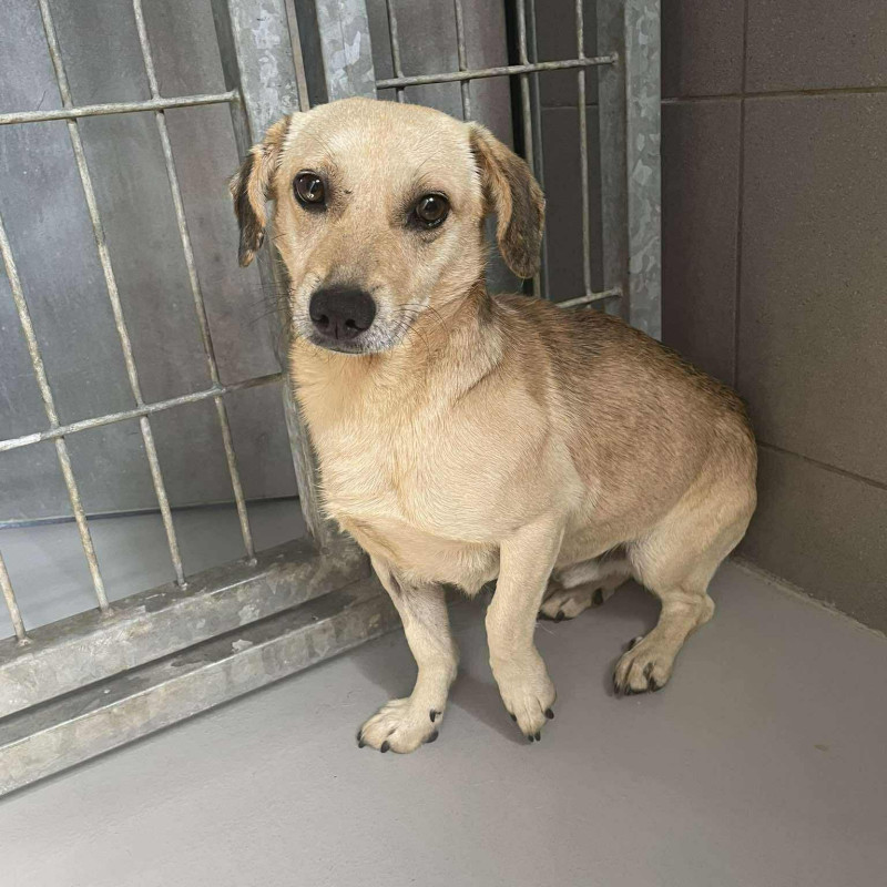 plik foto id: 1400002842