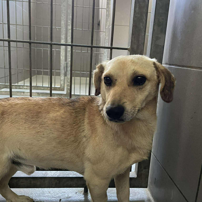 plik foto id: 1400002842