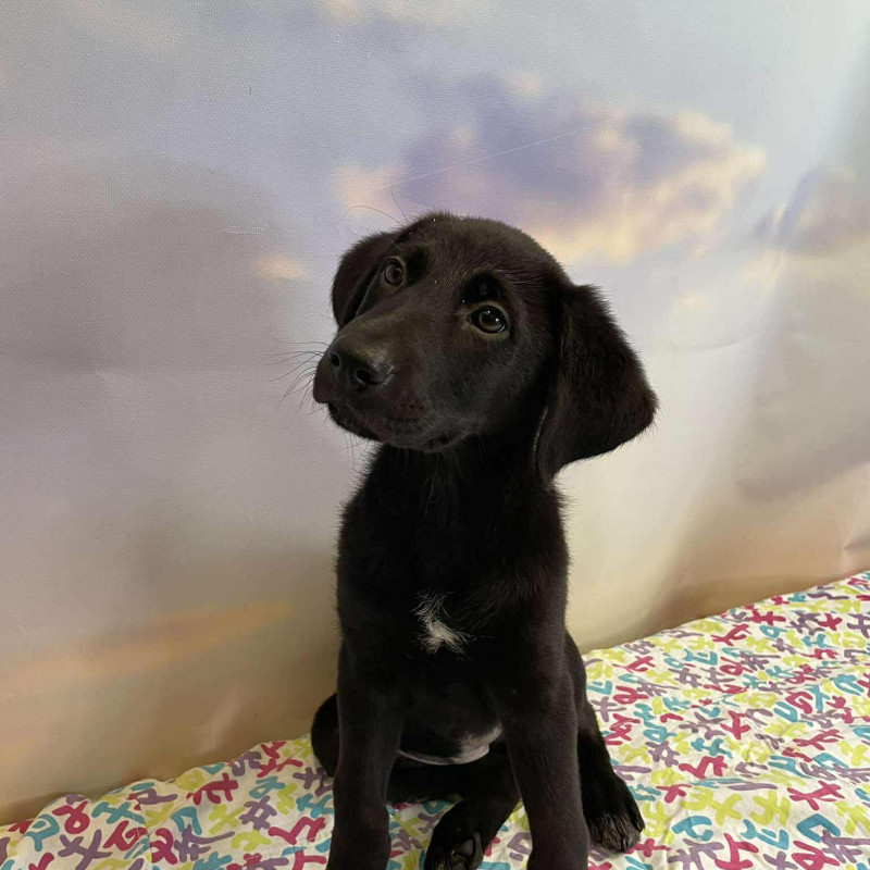 plik foto id: 1400002842