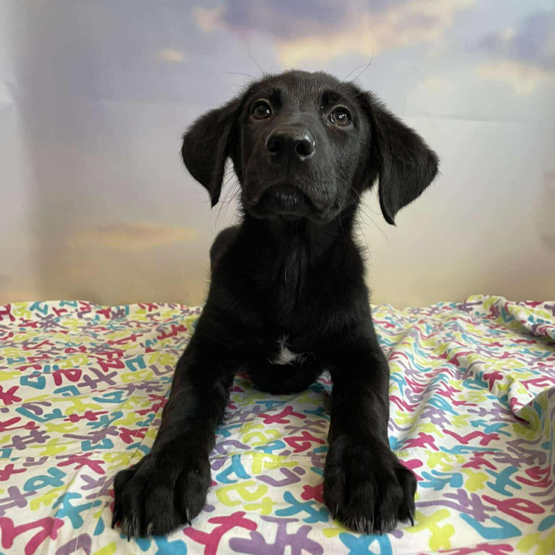 plik foto id: 1400002842