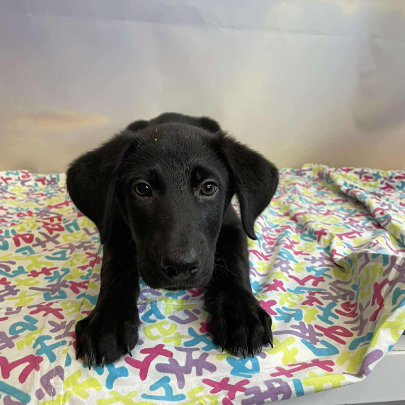 plik foto id: 1400002842