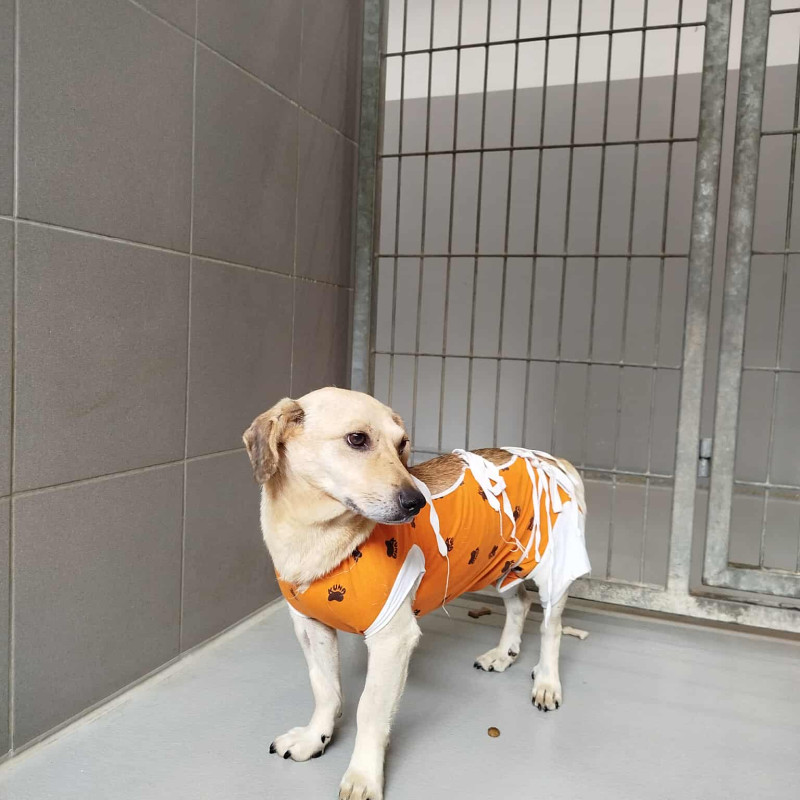 plik foto id: 1400002842