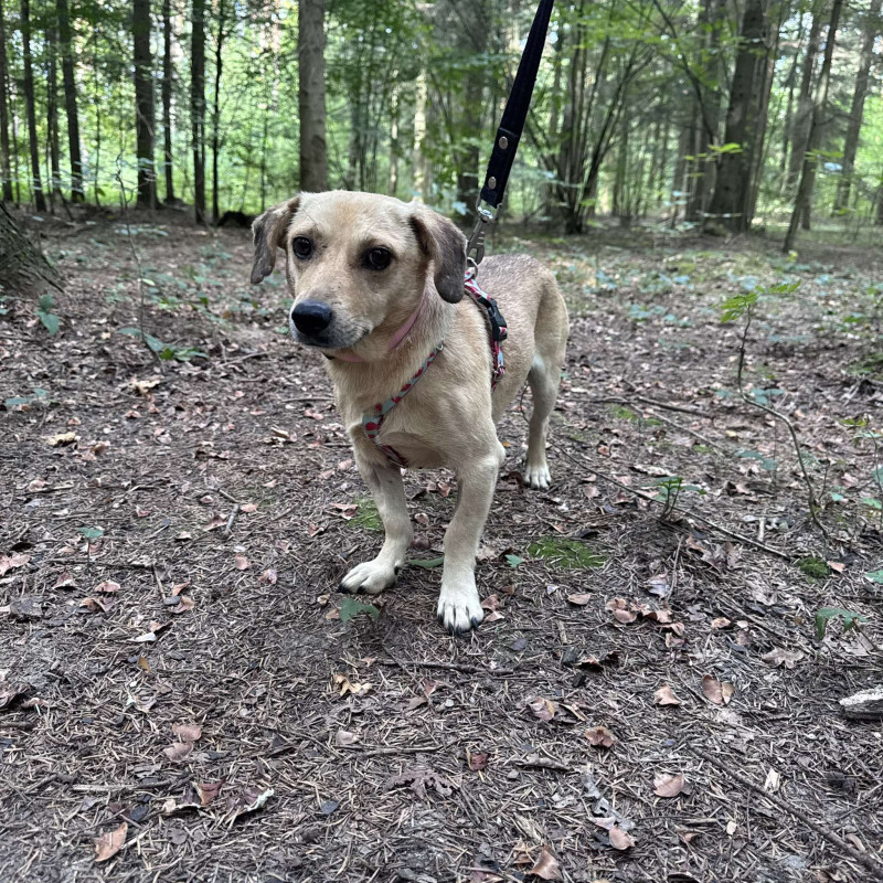 plik foto id: 1400002842