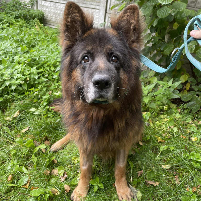 plik foto id: 1400002842