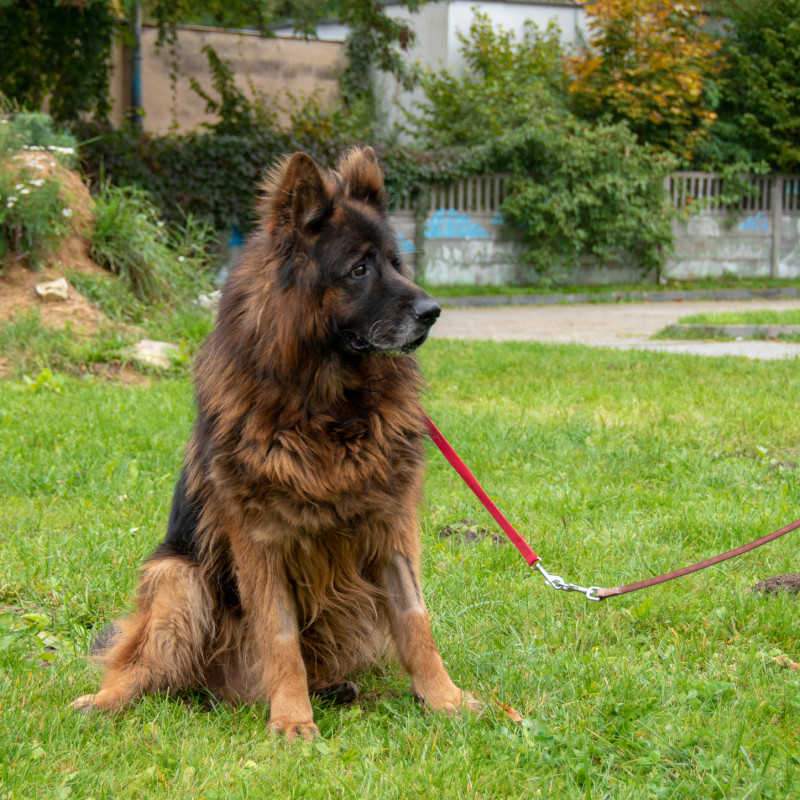 plik foto id: 1400002842