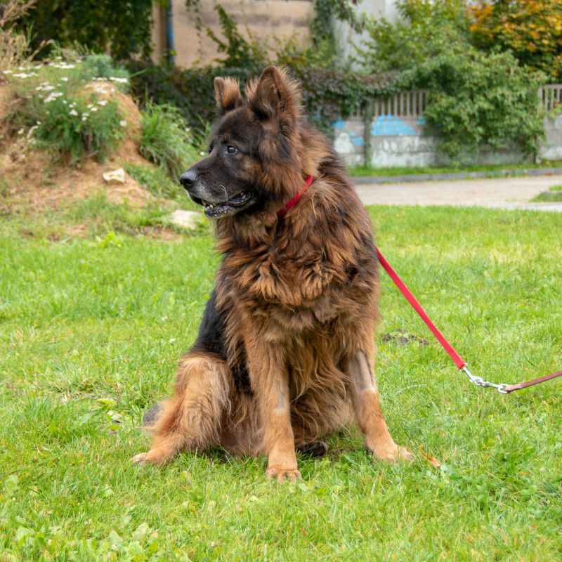 plik foto id: 1400002842