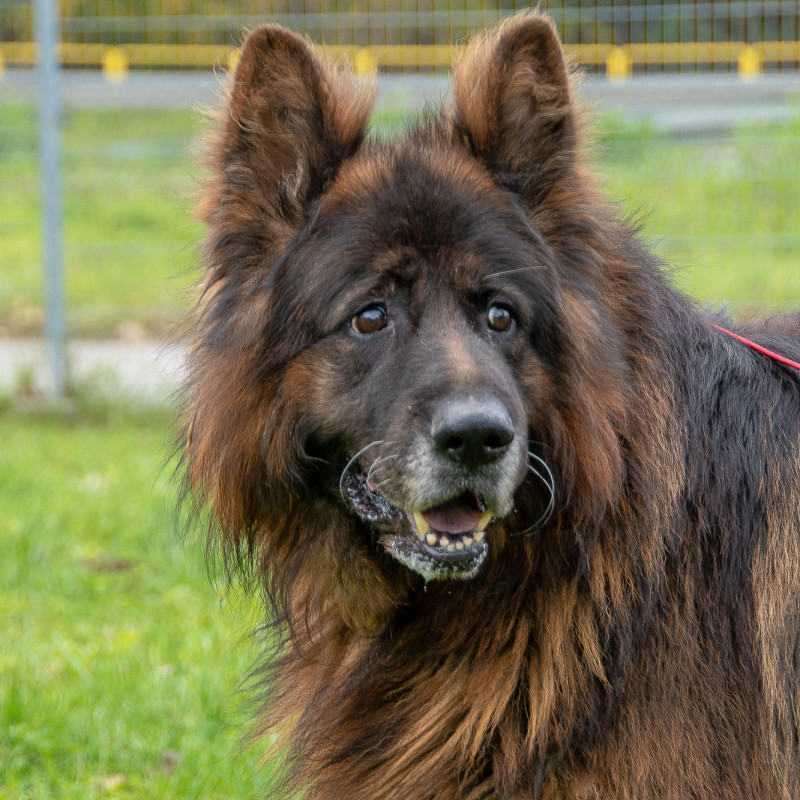 plik foto id: 1400002842