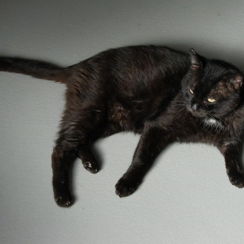 plik foto id: 1400002842