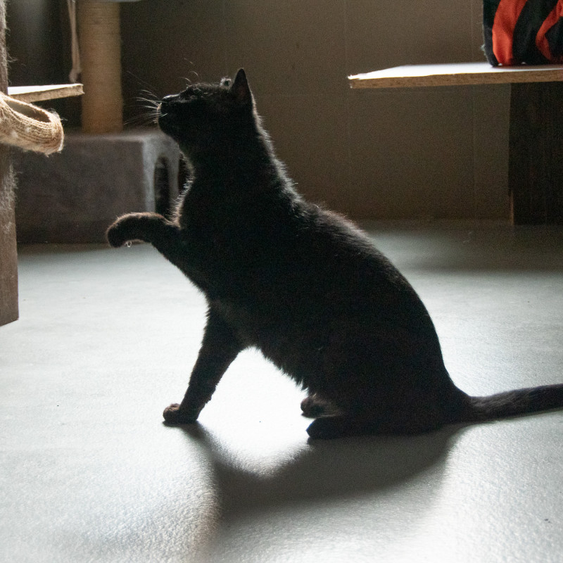 plik foto id: 1400002842