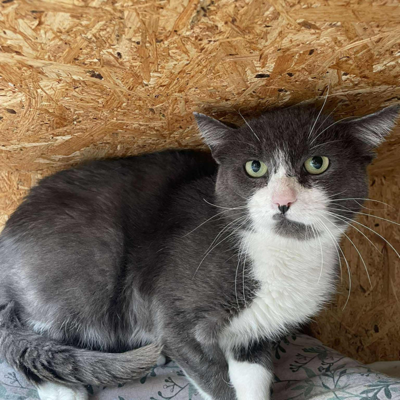 plik foto id: 1400002842