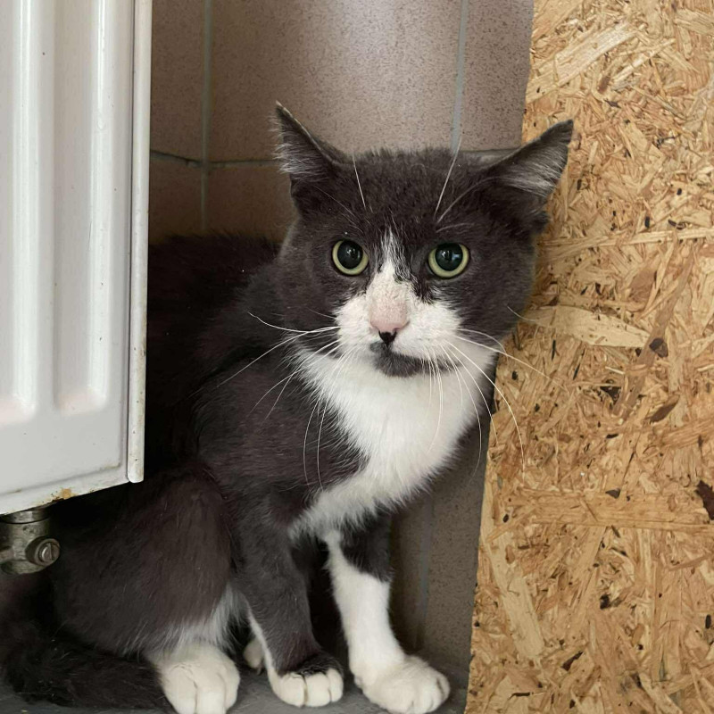 plik foto id: 1400002842