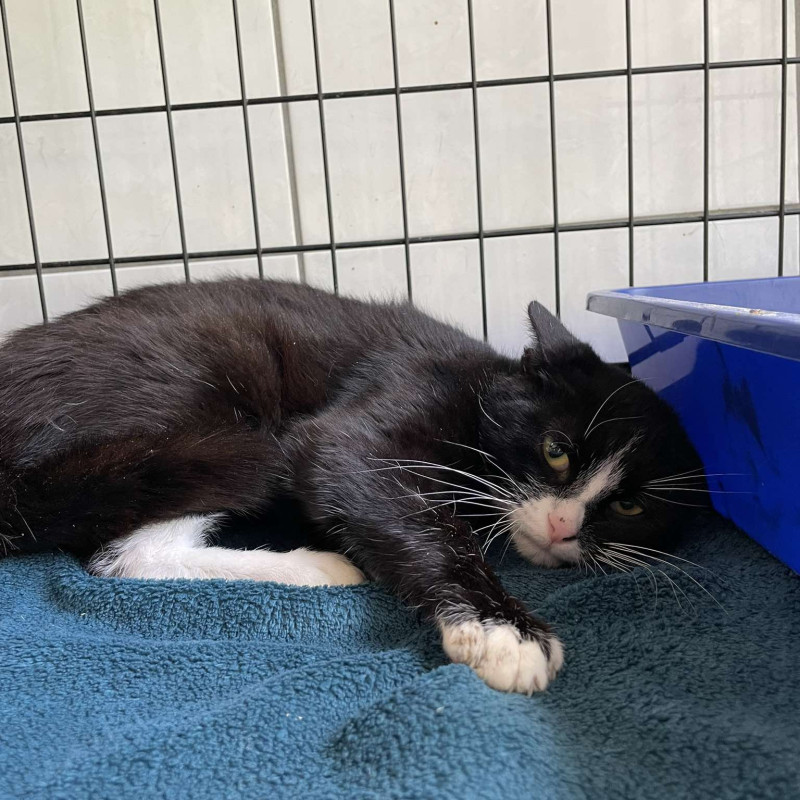 plik foto id: 1400002842