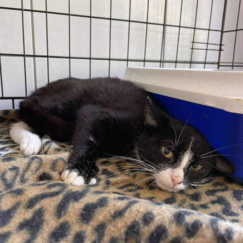 plik foto id: 1400002842