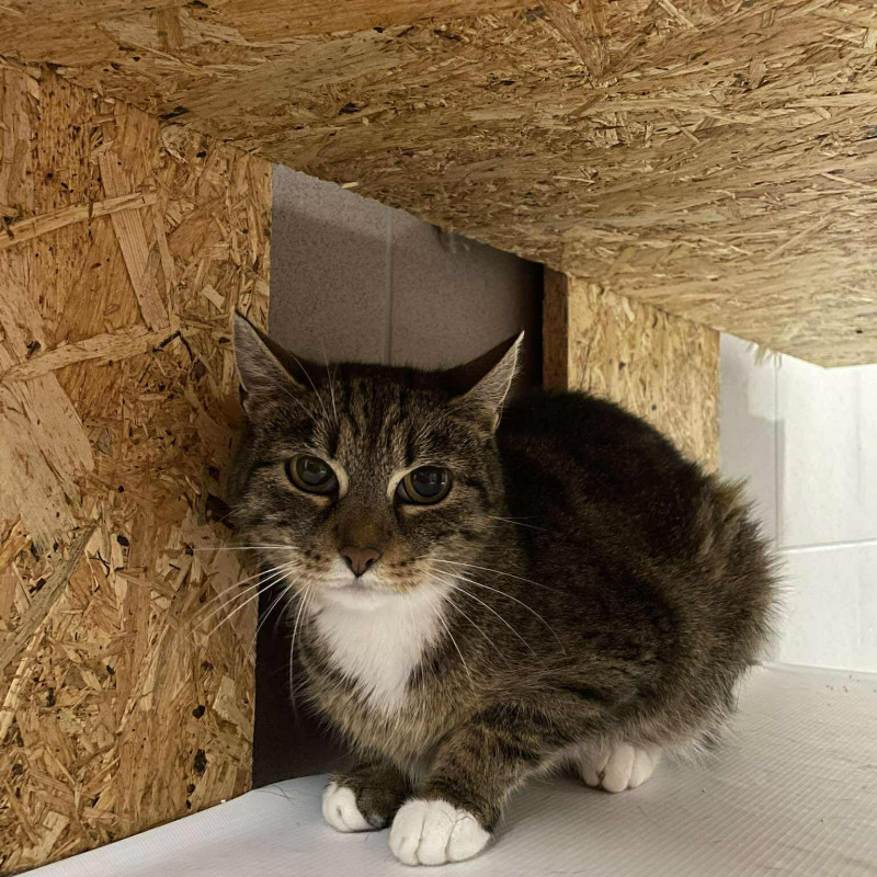 plik foto id: 1400002842