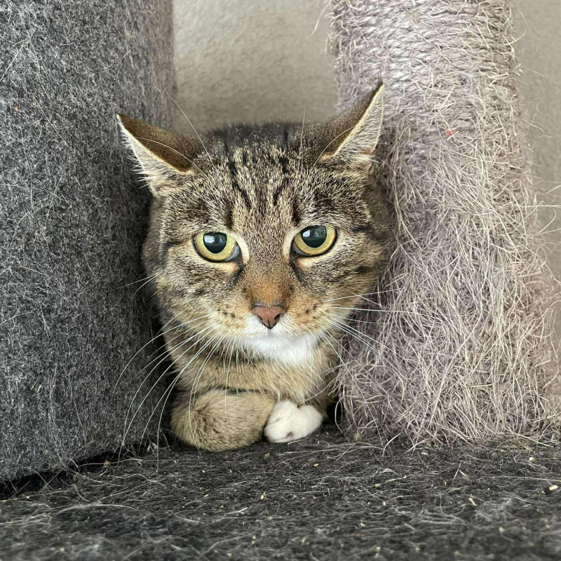 plik foto id: 1400002842