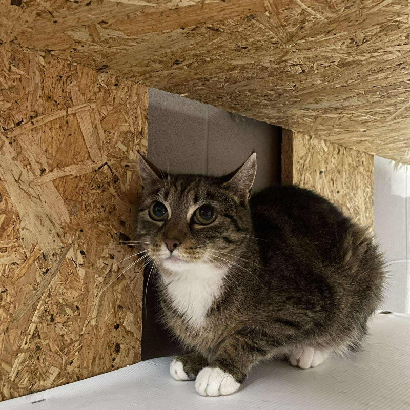 plik foto id: 1400002842