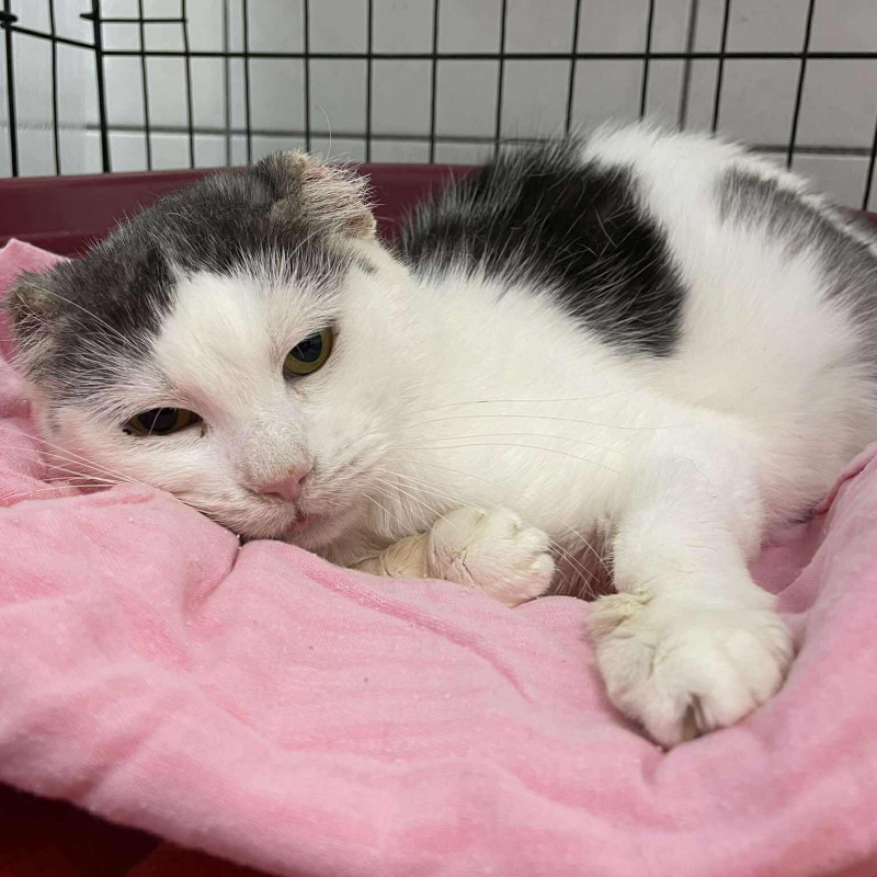 plik foto id: 1400002842