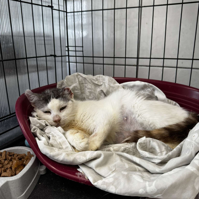 plik foto id: 1400002842