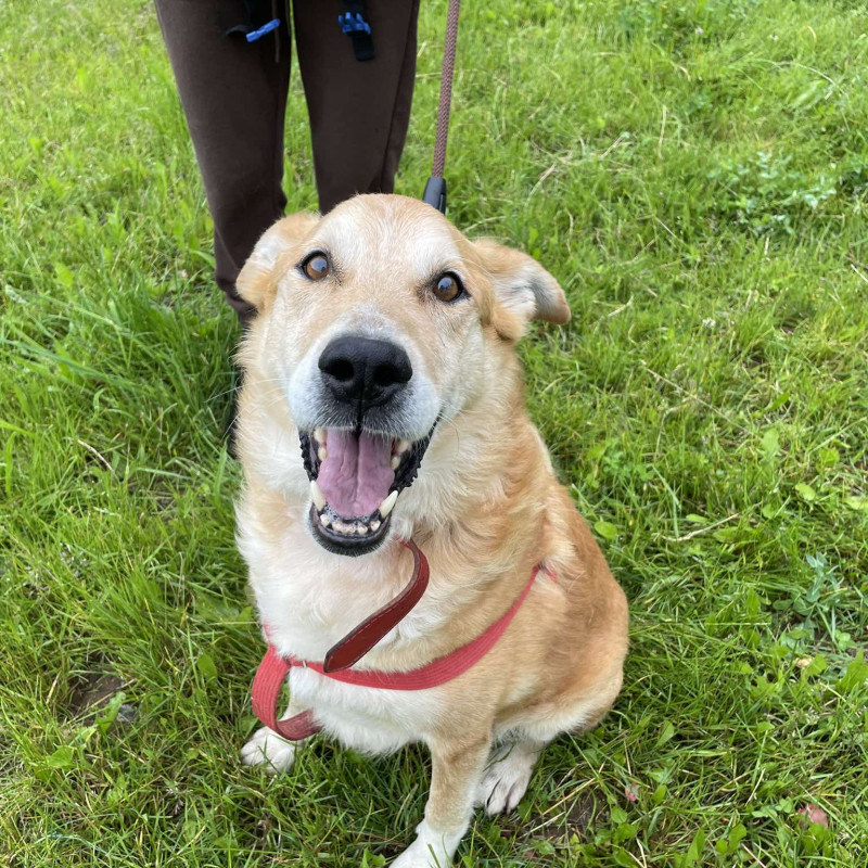 plik foto id: 1400002842