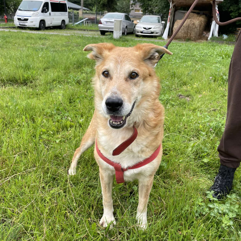 plik foto id: 1400002842