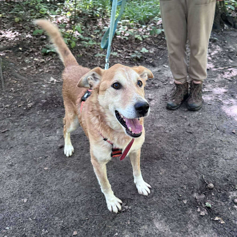 plik foto id: 1400002842