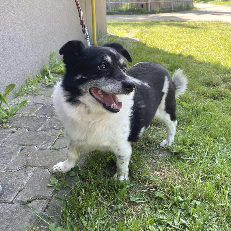 plik foto id: 1400002842