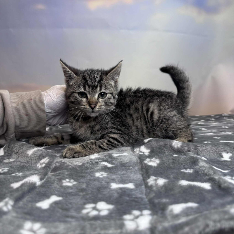 plik foto id: 1400002842