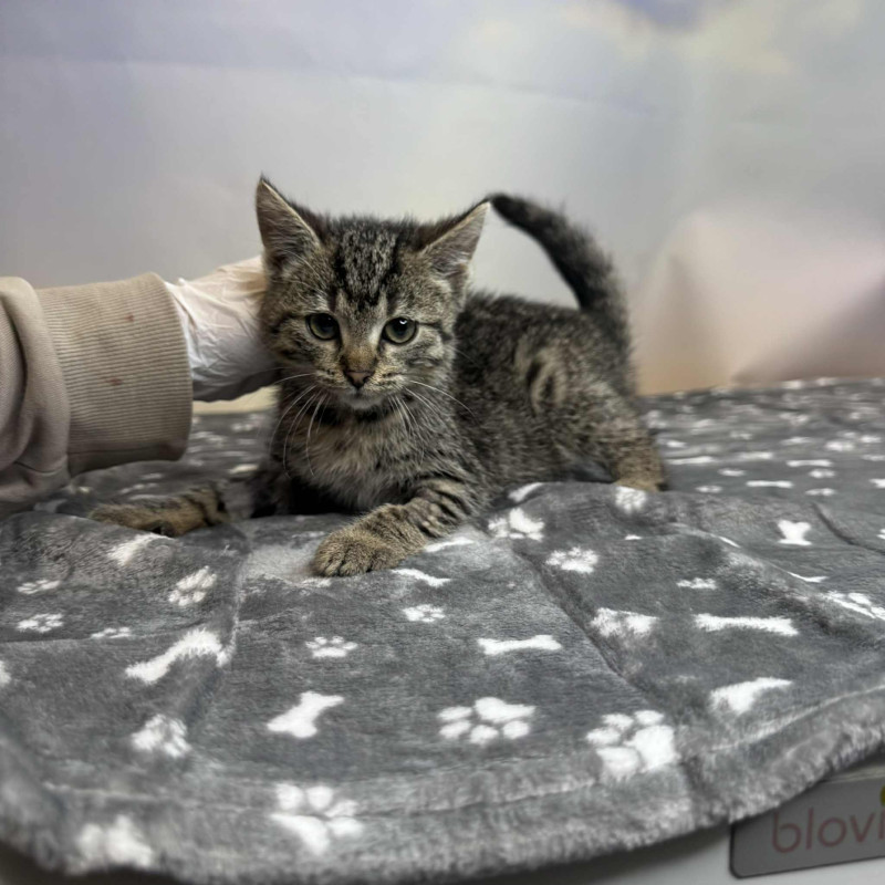 plik foto id: 1400002842