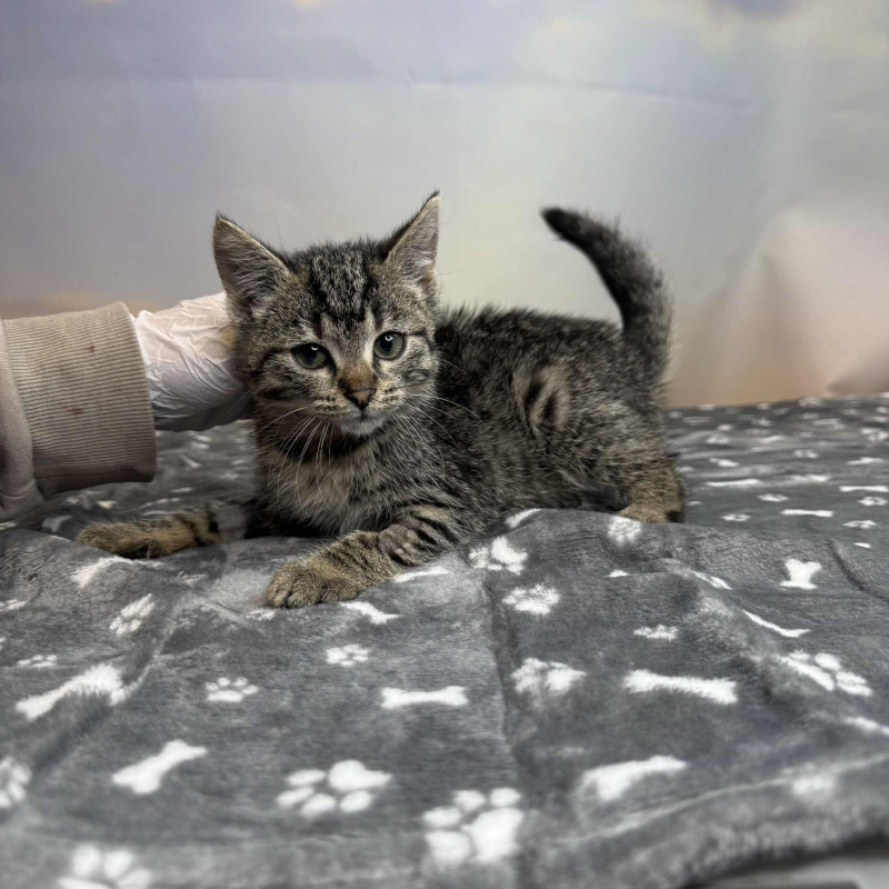 plik foto id: 1400002842