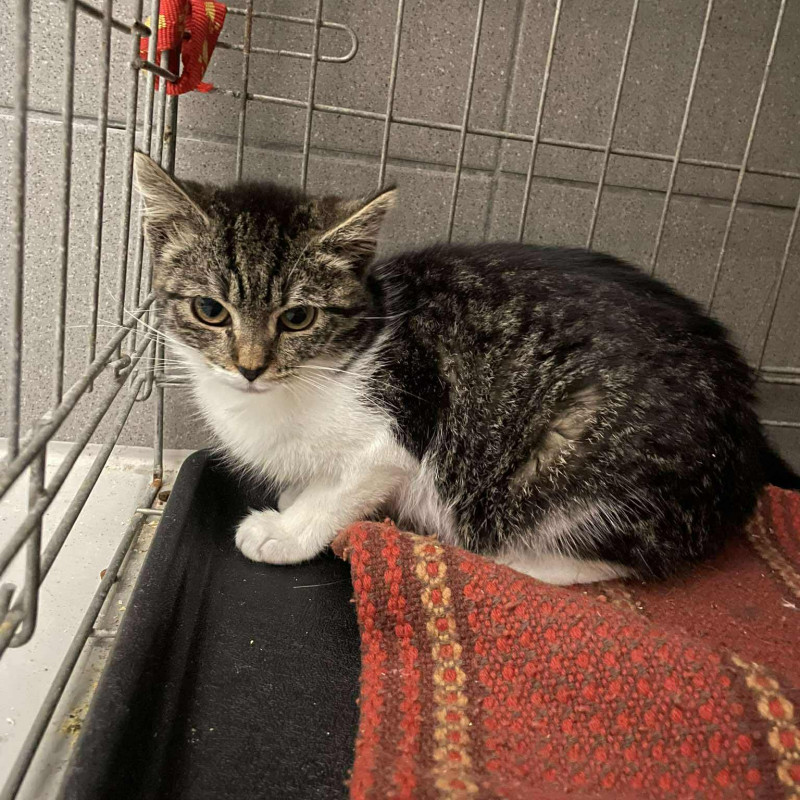 plik foto id: 1400002842