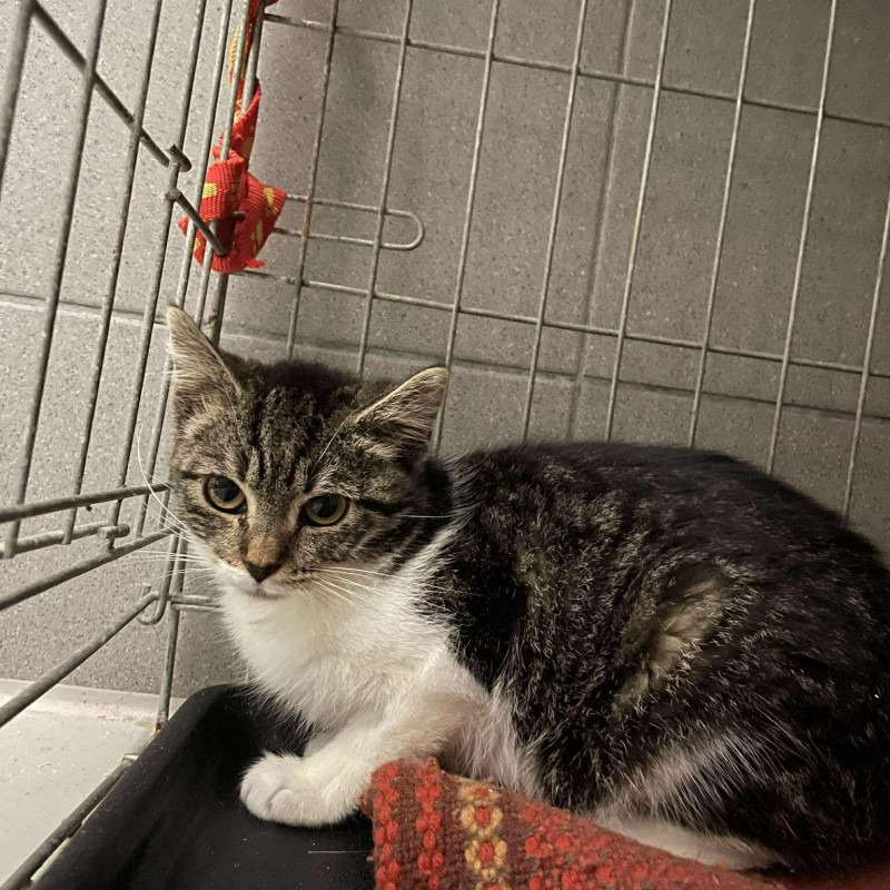 plik foto id: 1400002842