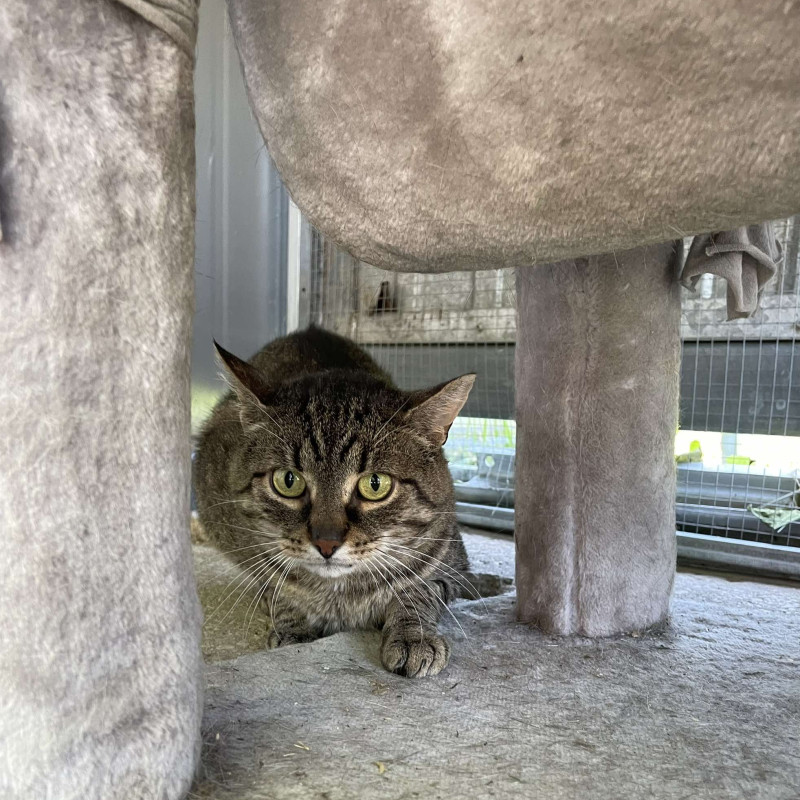 plik foto id: 1400002842