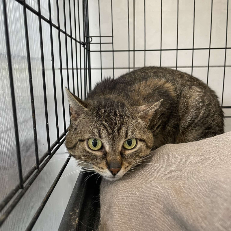 plik foto id: 1400002842