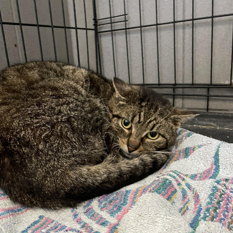 plik foto id: 1400002842