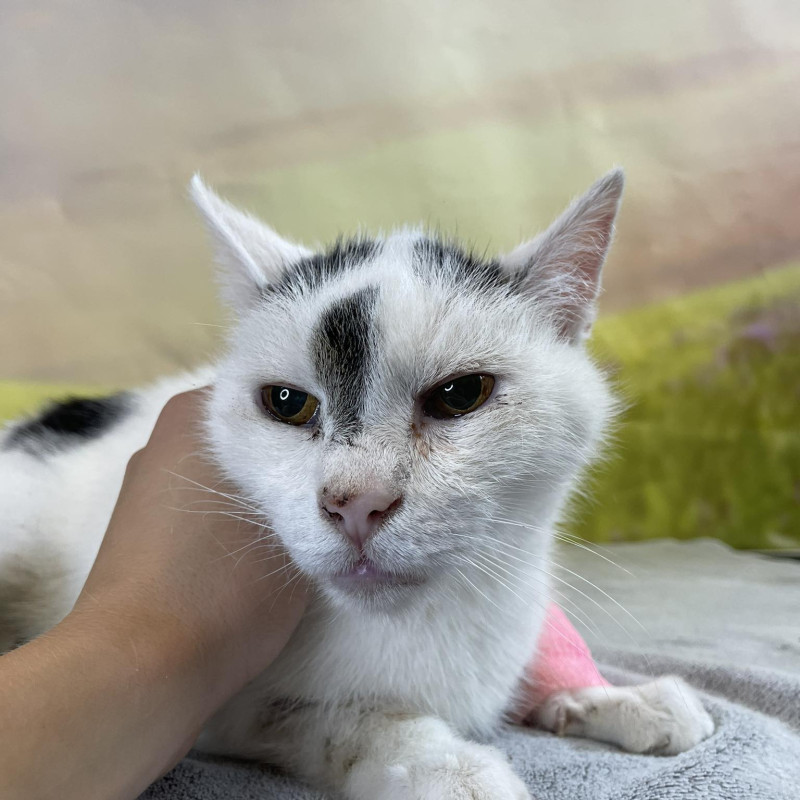 plik foto id: 1400002842