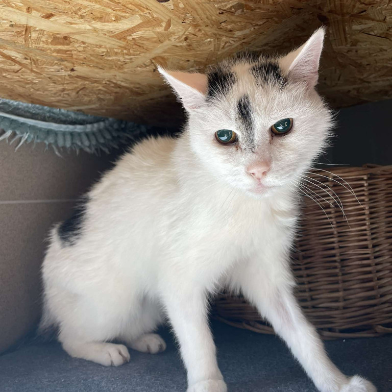 plik foto id: 1400002842