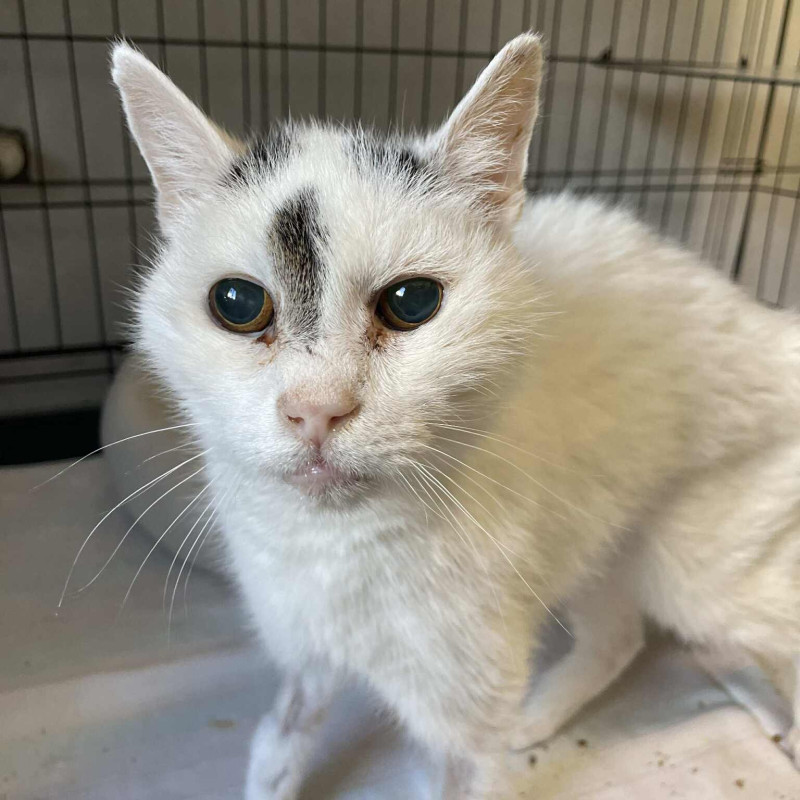 plik foto id: 1400002842