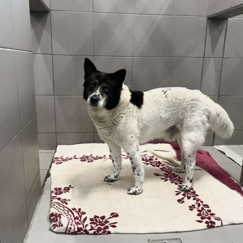 plik foto id: 1400002842