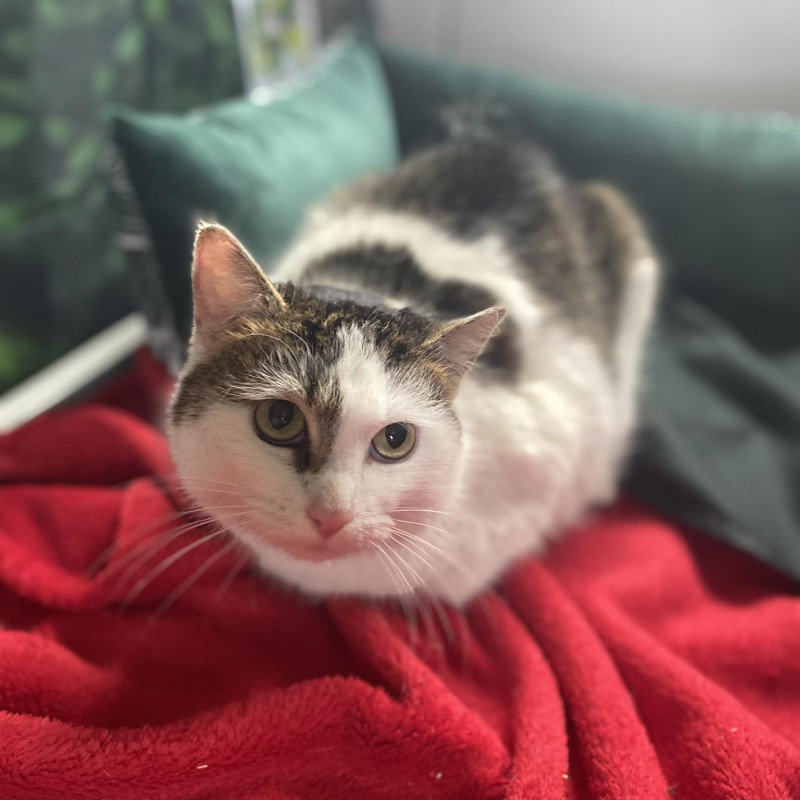 plik foto id: 1400002842