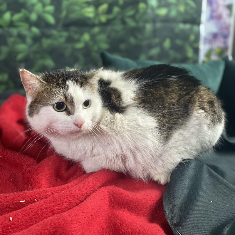 plik foto id: 1400002842