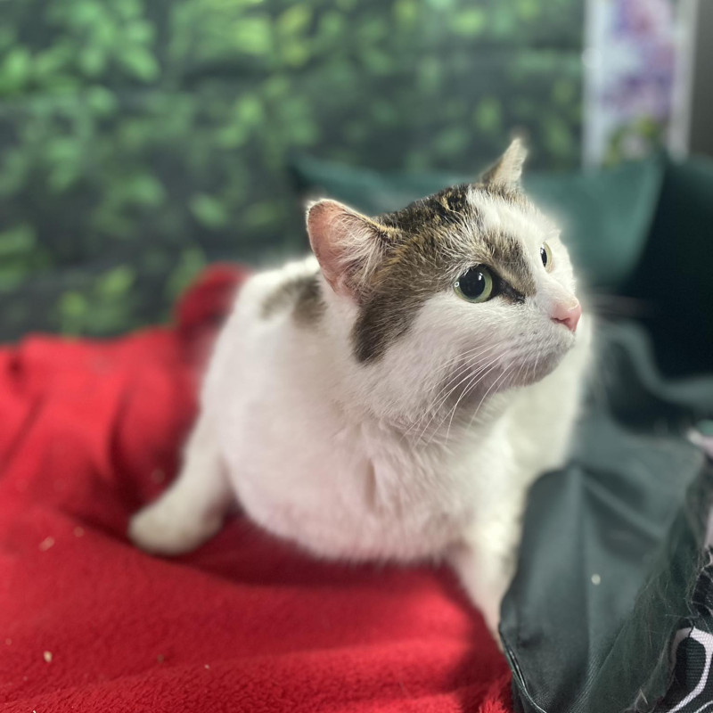 plik foto id: 1400002842