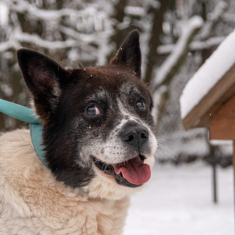 plik foto id: 1400002842