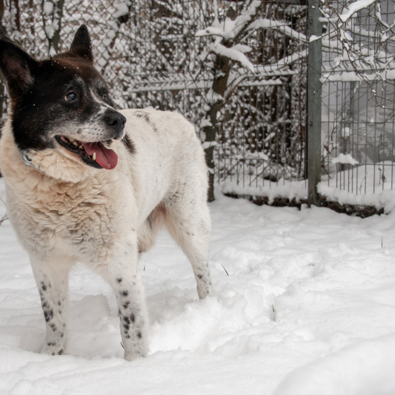 plik foto id: 1400002842