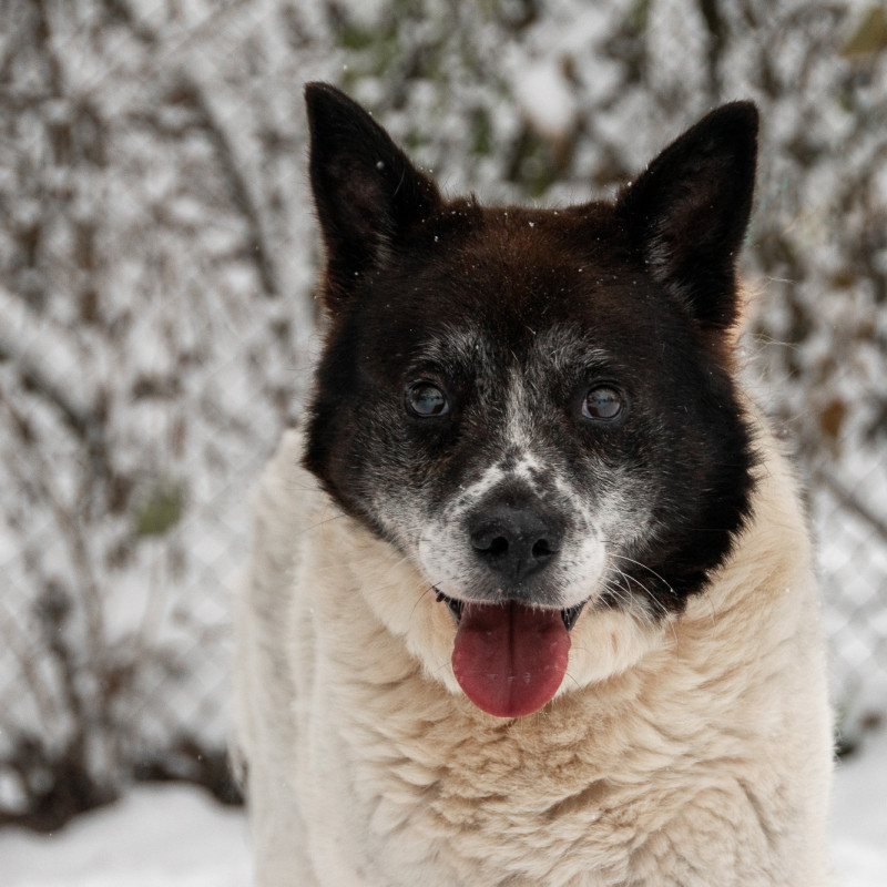 plik foto id: 1400002842